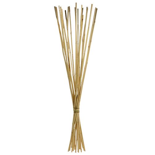 Floristik24 Steli in rattan 100 cm naturali 20 pz