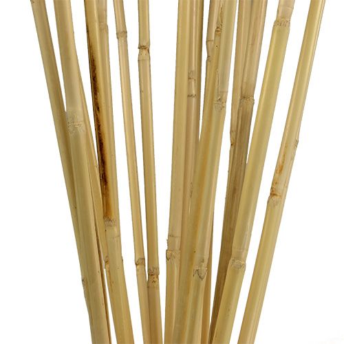 Floristik24 Steli in rattan 100 cm naturali 20 pz