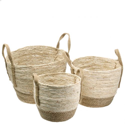 Floristik24 Cestino in rattan natura/marrone Ø40/32/26cm 3pz