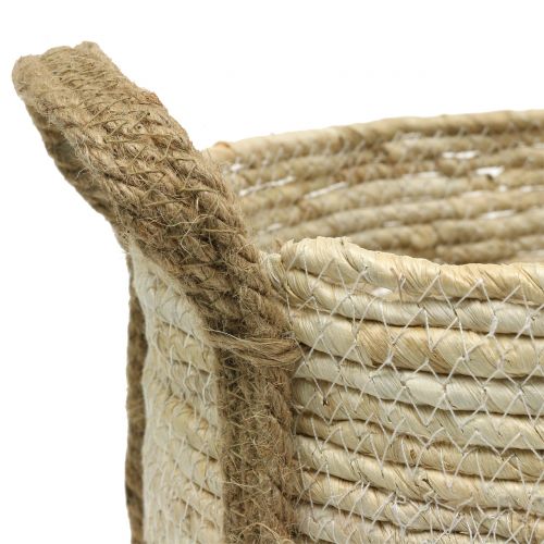 Floristik24 Cestino in rattan natura/marrone Ø40/32/26cm 3pz