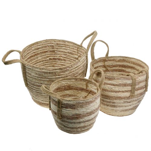 Floristik24 Cestino in rattan naturale / marrone Ø40 / 32 / 26cm 3 pezzi