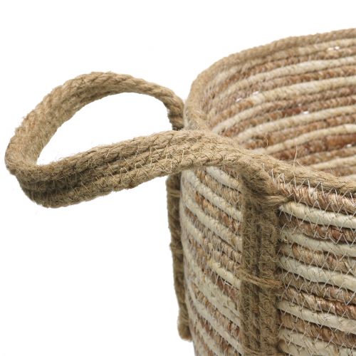 Floristik24 Cestino in rattan naturale / marrone Ø40 / 32 / 26cm 3 pezzi