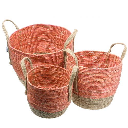 Floristik24 Cestino in rattan natura/arancione Ø40/32/26cm 3pz