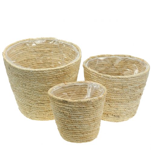 Cesto per piante in rattan natura Ø26/22/16cm 3 pezzi