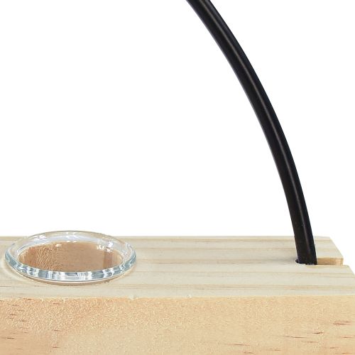 Prodotto Vaso decorativo per provetta anello decorativo in metallo nero 29×4×29 cm