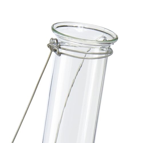 Prodotto Provetta in vetro decorativo per appendere mini vaso Ø2,4 cm H22,5 cm