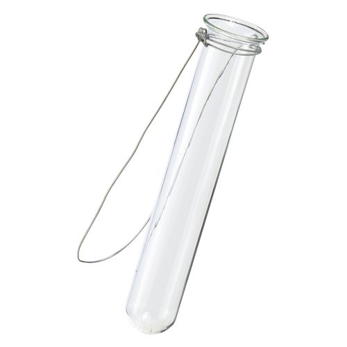 Prodotto Provetta in vetro decorativo per appendere mini vaso Ø2,4 cm H22,5 cm