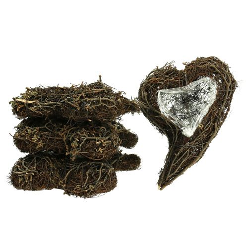 Prodotto Vite pianta cuore natura 15 cm x 23 cm x 5 cm 4 pezzi