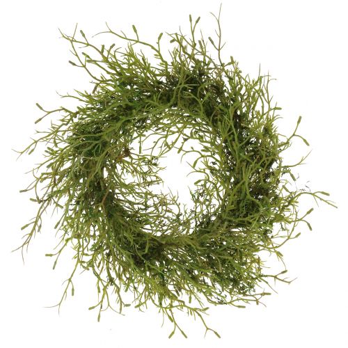 Floristik24 Ghirlanda primaverile con muschio verde Ø30cm