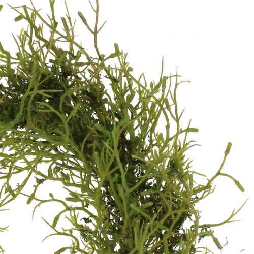 Floristik24 Ghirlanda primaverile con muschio verde Ø30cm