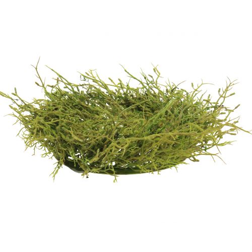 Floristik24 Ghirlanda primaverile con muschio verde Ø30cm
