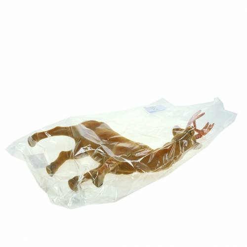 Floristik24 Curry floccato di renna, rame 40 cm