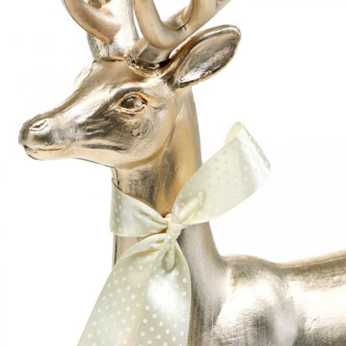 Floristik24 Figura decorativa di cervo in piedi champagne decorativo Avvento 36 cm