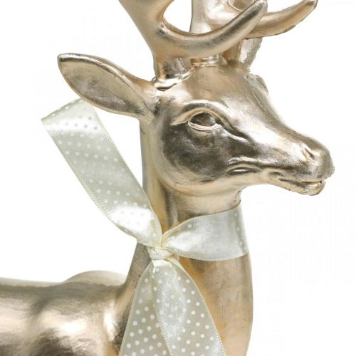 Floristik24 Figura decorativa cervo cervo decorativo champagne grande Natale 47 cm