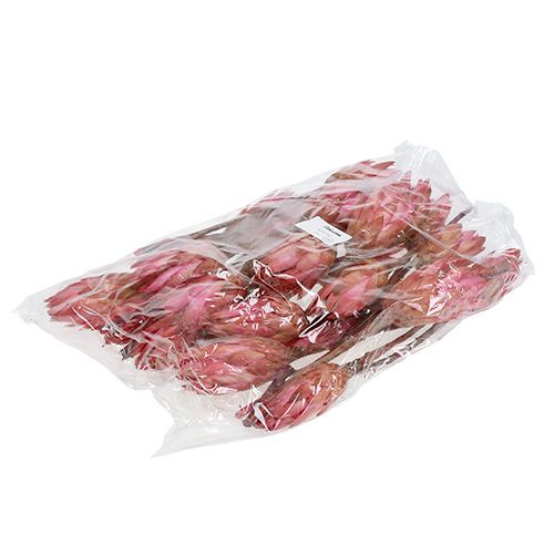 Prodotto Repens Erika 25 pz