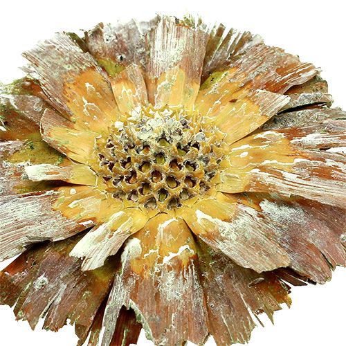 Prodotto Rosetta Repens verde satinato 8cm - 9cm 25 pz