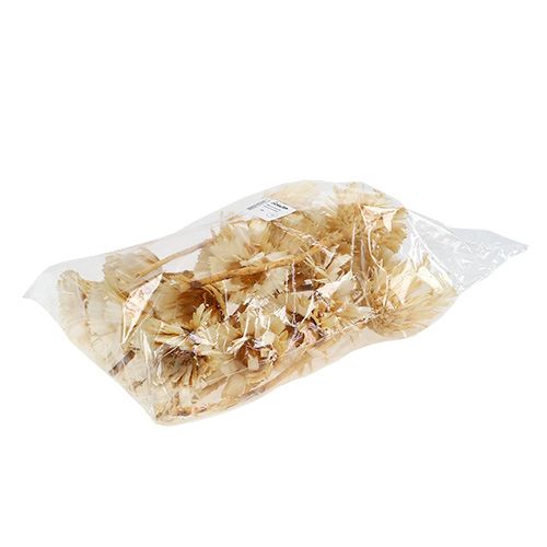 Prodotto Rosetta in repens sbiancato 8-9 cm 20 pz
