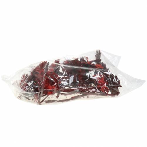 Prodotto Rosetta Repens Rossa 8cm - 9cm 25 pz