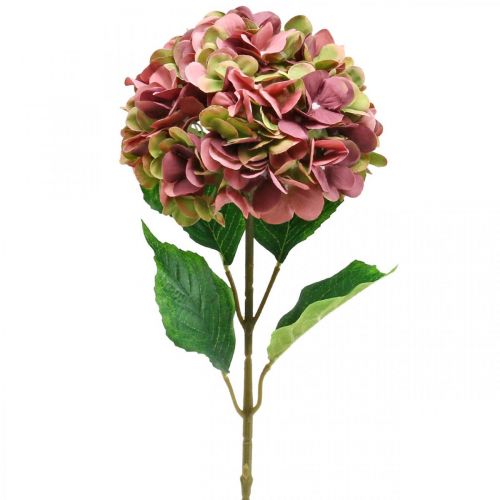 Floristik24 Ortensia artificiale rosa, bordeaux fiore artificiale grande 80cm
