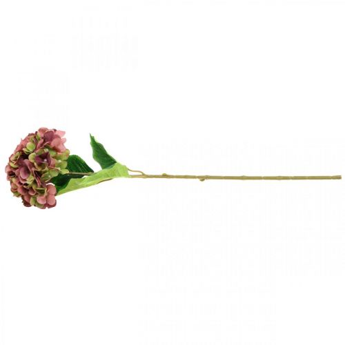 Floristik24 Ortensia artificiale rosa, bordeaux fiore artificiale grande 80cm