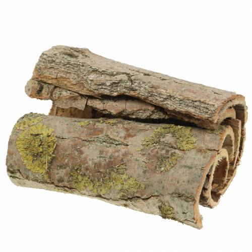 Floristik24 Corteccia d&#39;albero per artigianato natura 13cm 1kg