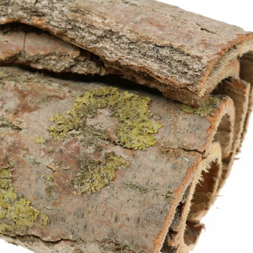 Floristik24 Corteccia d&#39;albero per artigianato natura 13cm 1kg