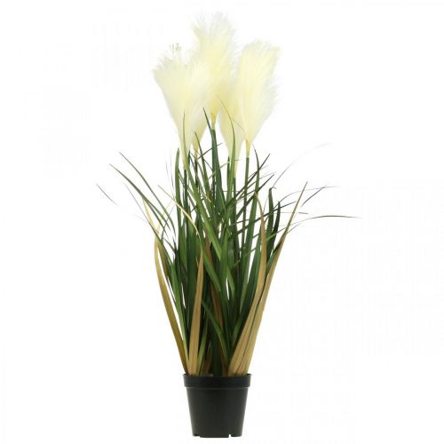 Prodotto Canna palustre in vaso Pianta artificiale in vaso Crema, Verde 79 cm