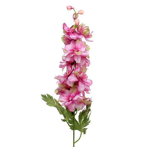 Floristik24 Delphinium Pink 60cm