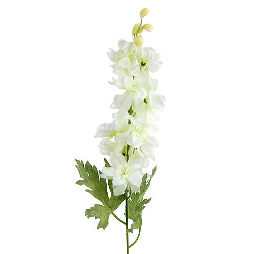 Delphinium White L60cm