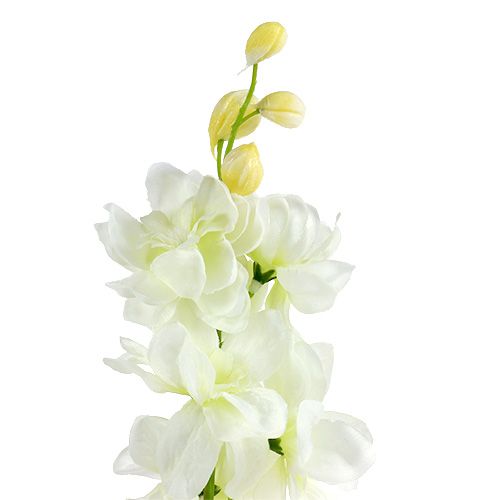 Prodotto Delphinium White L60cm