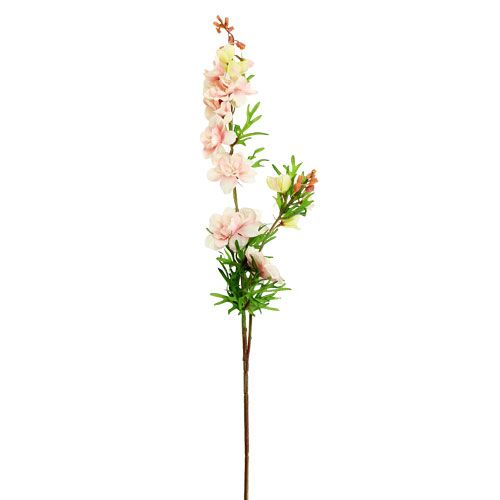 Delphinium Delphinium rosa chiaro L95cm | Floristik24.it