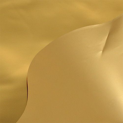 Floristik24 Sottovasi oro lucido, opaco Ø50cm 50 pezzi