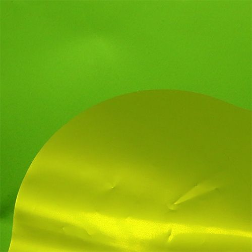 Prodotto Rondella verde lucido, opaco Ø50cm 50 pezzi