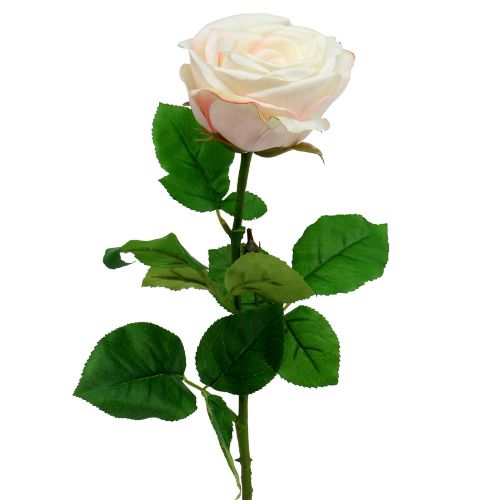 Floristik24 Crema di rose artificiali 69cm