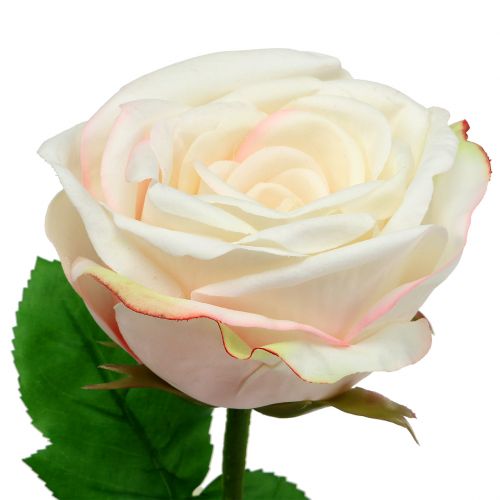 Floristik24 Crema di rose artificiali 69cm