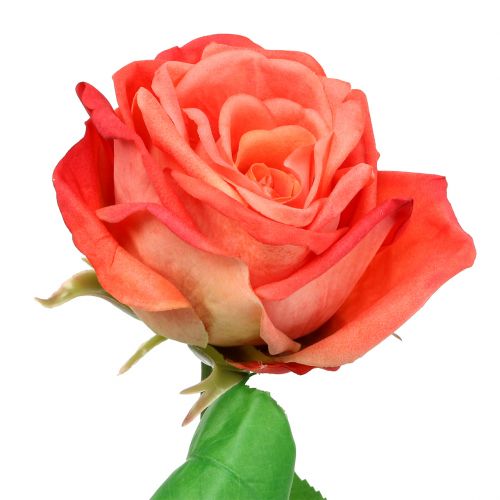 Floristik24 Salmone fiore artificiale rosa 67,5 cm