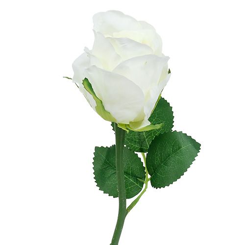 Prodotto Rosa bianca Ø6cm L30cm 6pz