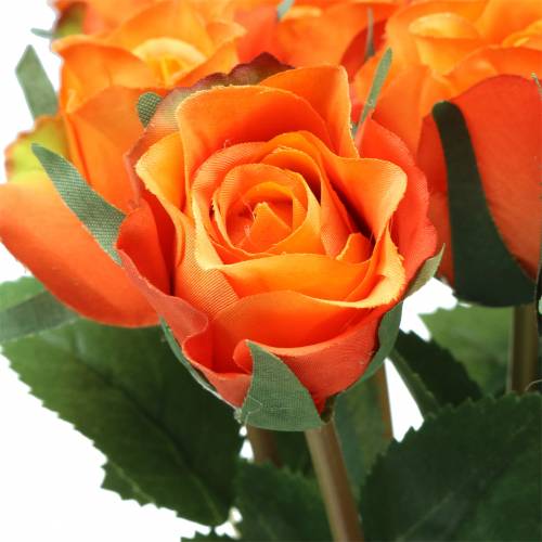 Rose Orange 42cm 12 pezzi