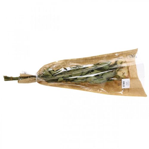 Floristik24 Rose decorative, fiori secchi, rose secche, San Valentino, floristica funebre, rose rustiche giallo-rosa L48cm 5 pezzi
