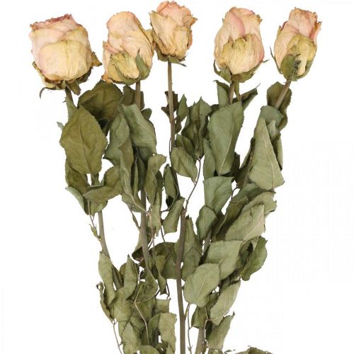 Rose decorative, fiori secchi, rose secche, San Valentino, floristica funebre, rose rustiche giallo-rosa L48cm 5 pezzi