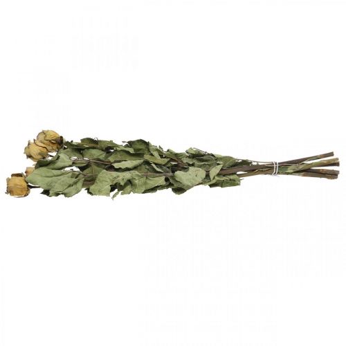 Floristik24 Rosa di fiori secchi, San Valentino, floristica secca, rose decorative rustiche giallo-viola L45-50cm 5 pezzi