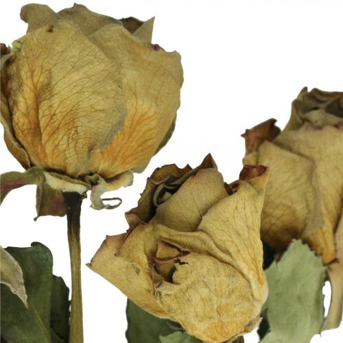 Floristik24 Rosa di fiori secchi, San Valentino, floristica secca, rose decorative rustiche giallo-viola L45-50cm 5 pezzi