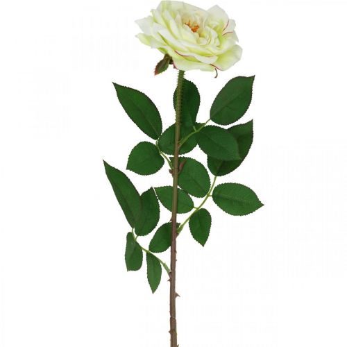 Rosa artificiale, rosa decorativa, fiore di seta bianco crema, verde L72cm Ø12cm