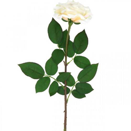 Rosa albicocca bianco crema, fiore di seta, rose artificiali L72cm Ø12cm