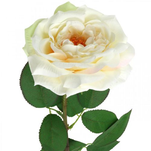 Prodotto Rosa albicocca bianco crema, fiore di seta, rose artificiali L72cm Ø12cm