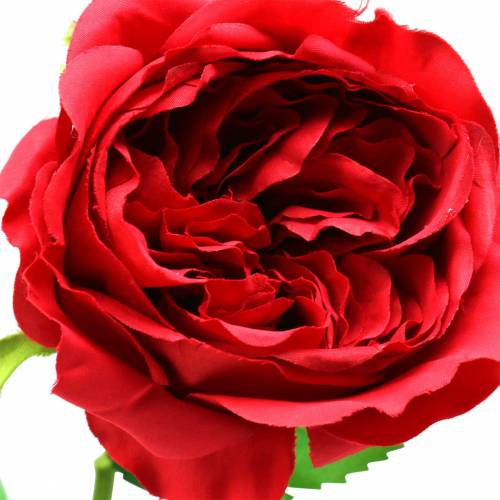 Floristik24 Rosa fiore artificiale rosso 72 cm