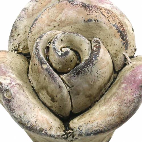 Floristik24 Rosa cemento grigio, viola Ø7,7 H5,5 cm 3 pz