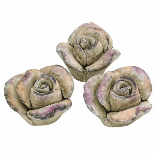 Floristik24 Rosa cemento grigio, viola Ø7,7 H5,5 cm 3 pz