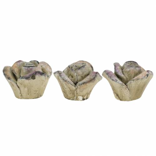 Floristik24 Rosa cemento grigio, viola Ø7,7 H5,5 cm 3 pz