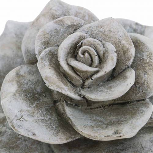 Floristik24 Rosa grigia decorativa Ø9,3 cm